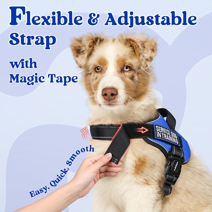 rabbitgoo No Pull No Choke Pet Vest, Adjustable Pet Harness with Molle | Large Sized Dog Harness, Reflective, Easy Wearing with One Buckle for Walking, Training, Blue, L - Image 4