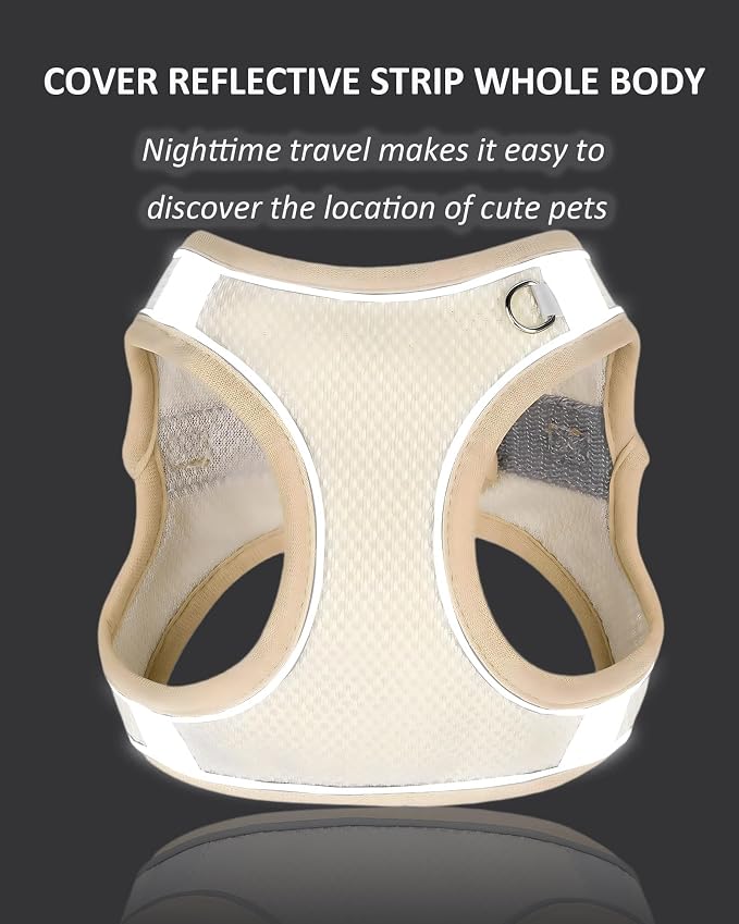 Solmoony Dog Harness for Small Medium Dogs No Pull, Puppy Harness and Leash Set, Puppy Harness for Small Dogs, Step in Harness for Small Dogs, Small Dog Harness, mesh Dog Harness. (Beige, XXS) - Image 4