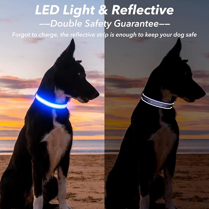Visinite Light Up Dog Collars for Small Medium Large Dogs, Fully Adjustable LED Dog Collar USB Rechargeable, 3 Glowing Modes Pet Dog Collar, Lighted Dog Collars for Night Walking Safety - Image 2