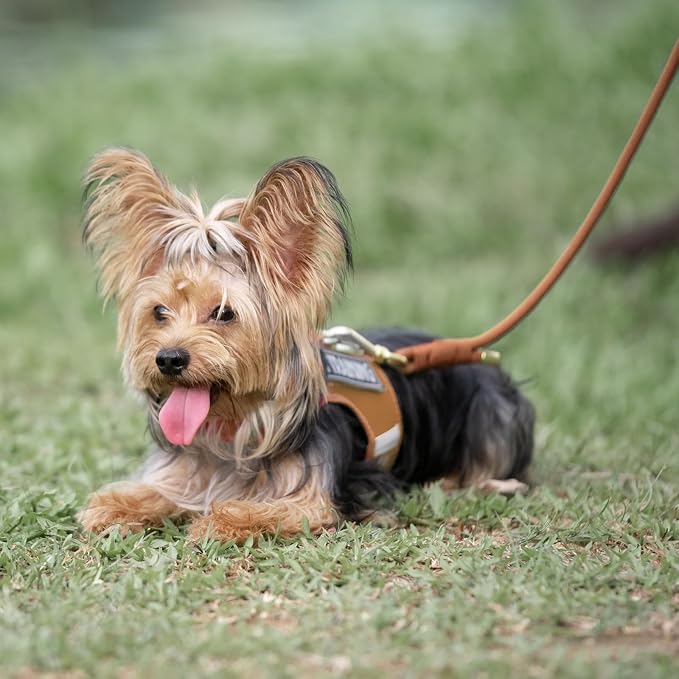 5FT Dog Leash 5/16 inch Puppy Cat Rope Lead | Carmel Brown, with Anti-tangle Swivel Clip, Comfortable Non-slip Grip Handle, Ideal for Daily Walks, for Small Medium Dogs - Image 9