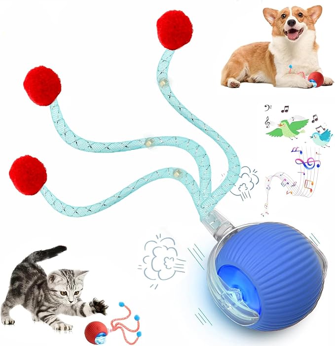 Speed 2.0 Tail Interactive Cat Toys for Indoor Cats, Moving Cat Toy | Chirping & Motion Activate Cat Toy, Smart Kitten Toys Rolling Ball Moving Ball, Electric Dog Cat Ball for Enrichment Exercise by Unknown
