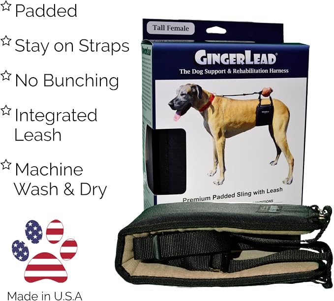 Dog Sling Hip Lift Support Harness, Tall Female, Made in USA | Fits Tall, Lean Dogs like Greyhounds or Great Danes, Padded Mobility Aid, Help Pets Walk or Balance, Machine Wash & Dry - Image 3