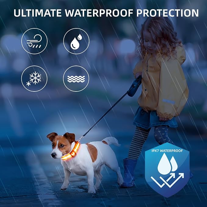 Super Bright LED Dog Collar, Waterproof Light up Collars(Orange, Medium) | Lighted Dog Collar with Adjustable Fit, Soft Nylon Comfort, USB-C Rechargeable, Glow in the Dark Visibility for Night Walks - Image 4