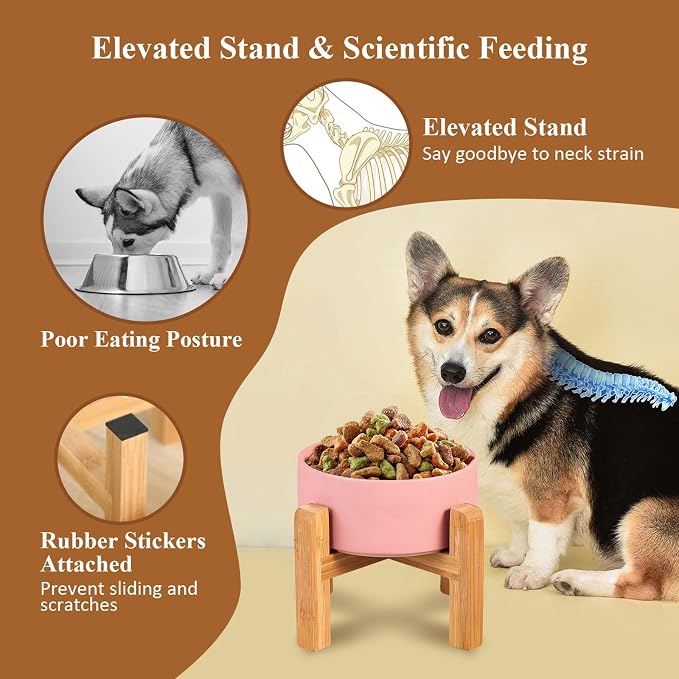 Ceramic Elevated Dog Bowl with Bamboo Stand, for Small & Medium Dog, Green - Image 3