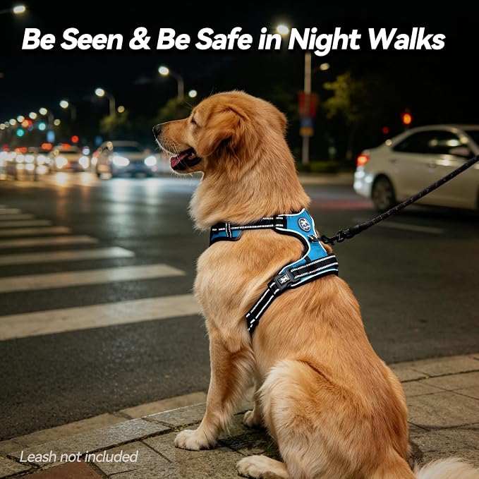 PoyPet No Pull Dog Harness Small with Front Clip & Neck Release Buckle | No Choke, Adjustable Vest, Reflective, Back Clip, Lockable, Soft Padded, Easy Control Handle for Walking Training, XS, Blue - Image 7