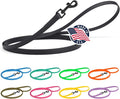 Dogline Biothane Waterproof Dog Leash Strong Coated Nylon Webbing with Black Hardware Odor-Proof Easy to Clean High Performance for Small or Large Dogs Made in USA 4 or 6 ft Lead, Black by Dogline