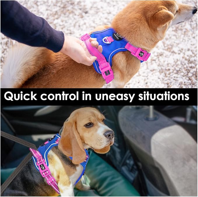 No Pull Dog Harness, Unique Colors Reflective Adjustable Dog Vest | with Soft Training Handle Metal Clips for Small Medium Large Dogs (Royal Blue Base & Pink Straps,XL) - Image 5