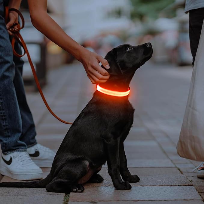Illumifun Light Up Collar for Dogs, USB Rechargeable LED Dog Collar, Adjustable Safety Collar Light for Walking at Night (Orange, Large) - Image 5