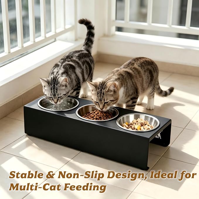 Elevated Cat Food Bowls [3 Pack] - 15° Tilted Stainless Steel, Anti-Vomit Raised Pet Feeder with Non-Slip Base, Ergonomic Whisker-Friendly Bowl Set for Indoor Cats & Kittens - Image 5