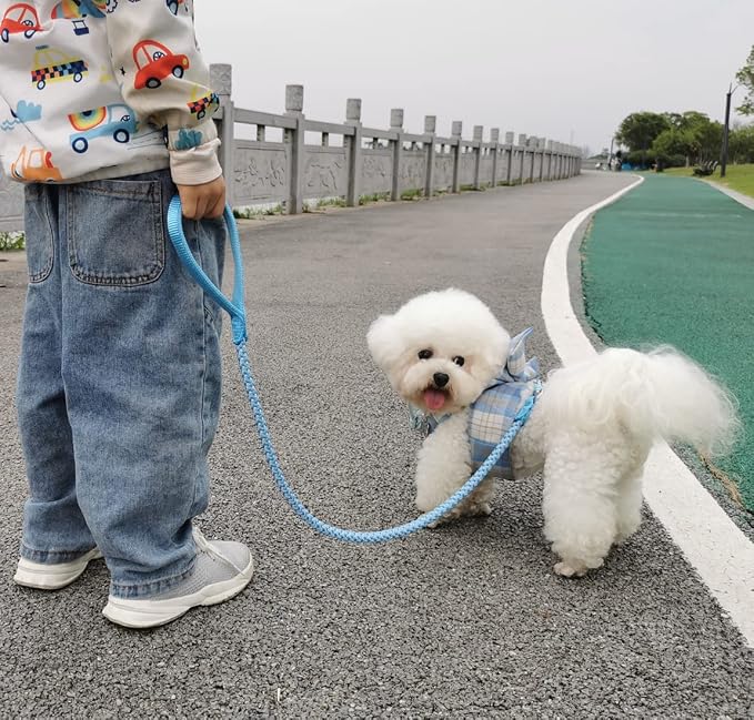 Reflective Dog Leash 2/3/4/6/10ft Braided 1/2" Strong Nylon Rope | 6FT Skyblue Dog Leash for Large Medium Small Dogs Walking Training Leads - Image 6