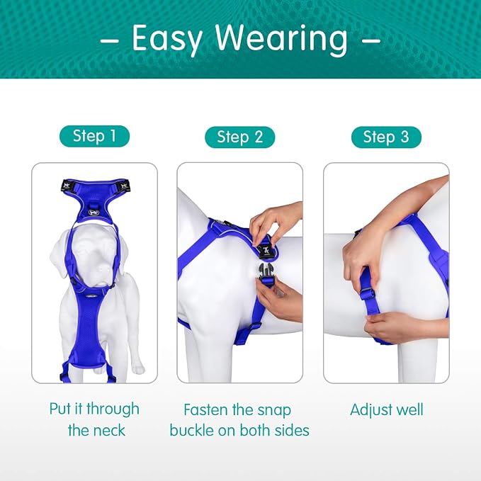 PoyPet Mesh Dog Harness, Reflective Breathable Puppy Vest for Small Dogs | Lightweight, Soft Air Mesh, Back D-ring, Adjustable, Comfortable, Double Padded, No Choke, for Daily Walking, XS, Royal Blue - Image 3