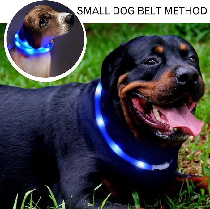 LED Dog Collar,USB Rechargeable Glowing Dog Collars, Light Up Collar Improved Pet Safety &Visibility at Night, 3 Flashing Modes,Water-Resistant Lighted Collar Fits for Small Medium Large Dogs - Image 8