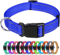 TagME Large Dog Collar, Reflective Nylon Collar, Royal Blue, 1.25" Width | Soft Nylon Dog Collar With Reflective Stitching for Night Walks, Adjustable Fit, Quick-Release Buckle for Easy On & Off by TagME