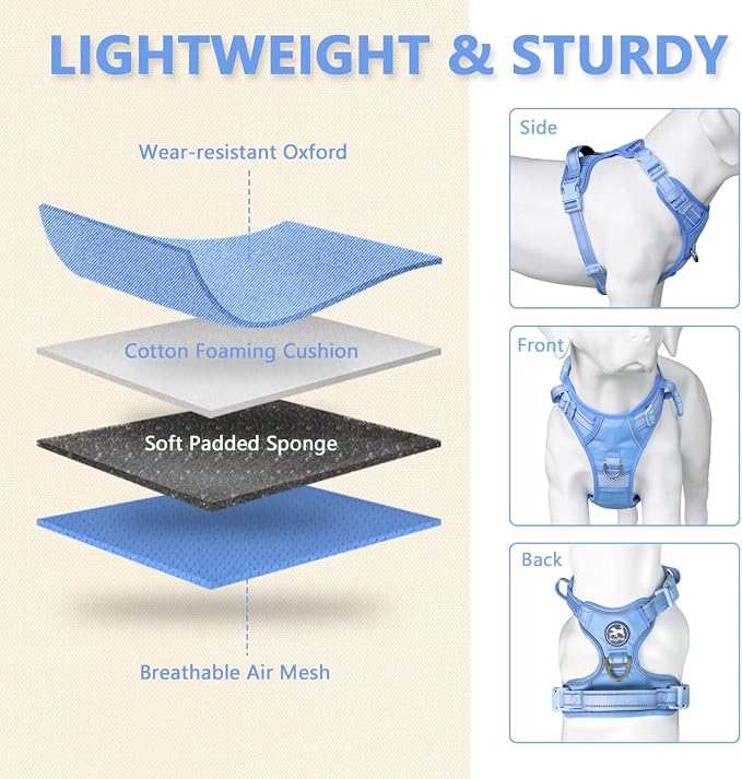 PoyPet No Pull Dog Harness, Reflective Vest with 2 Leash Clips & Handle | Lockable Neck Release Buckle, No Choke, Adjustable, Soft Padded, for Walking Training, Light Blue Matching Trim, Large - Image 2
