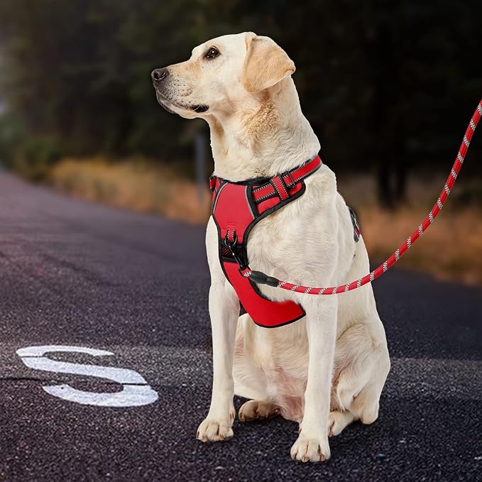 IVY&LANE No Pull Dog Harness for Small Dogs, Dog Vest Harness with Leash, Safety Belt and Storage Strap, Fully Adjustable, 360° Reflective Strip, Soft Handle (Red, S) - Image 6
