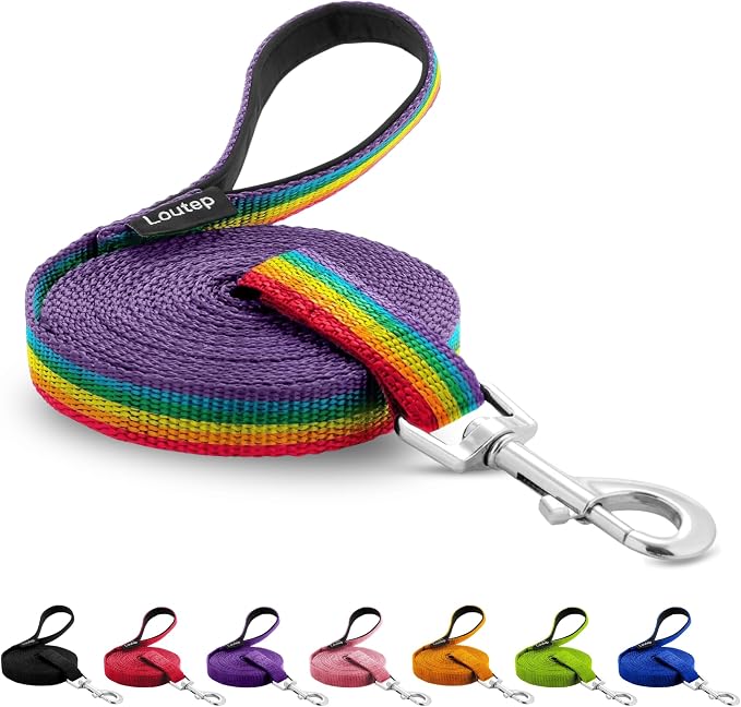 Long Line Dog Training Leash with Padded Handle, 30 ft, Rainbow | Durable nylon webbing with reinforced stitching and 360° swivel clip for recall and obedience by Loutep