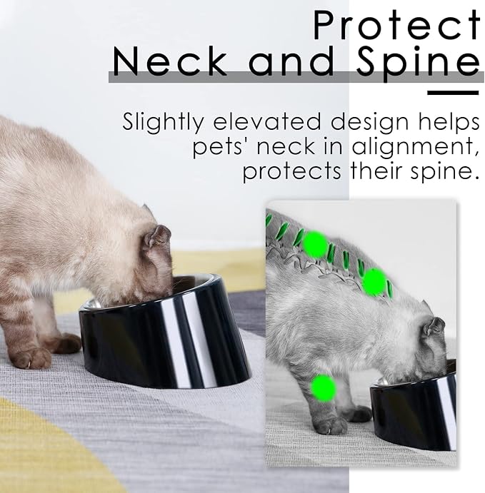 SUPER DESIGN Mess Free 15 Degree Slanted Bowl for Dogs and Cats 0.5 Cup Black - Image 4