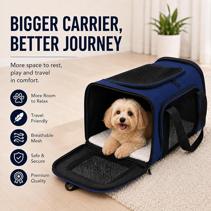 Large Pet Carrier for Cats and Small Dogs, Soft-Sided Travel Carrier with Safety Leash, Scratch-Resistant Mesh, Reinforced PVC Support Base, Foldable Design, 20 x 13 x 13 Inches - Image 2