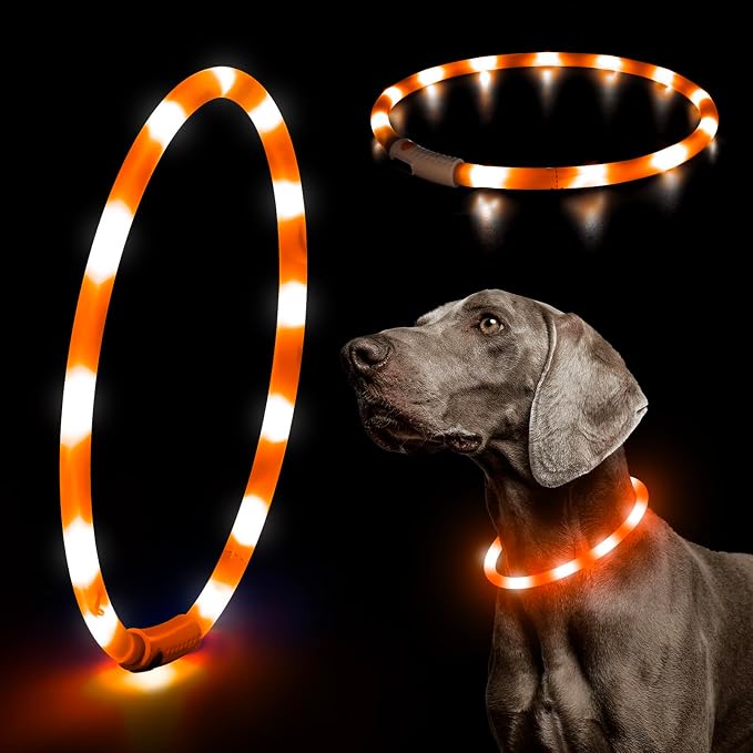 HIGO LED Dog Collar, Rechargeable Light Up Dog Collars, Lightweight Silicone Pet Safety Collar Lights for Night Walking (Orange-Silicone) by Higo