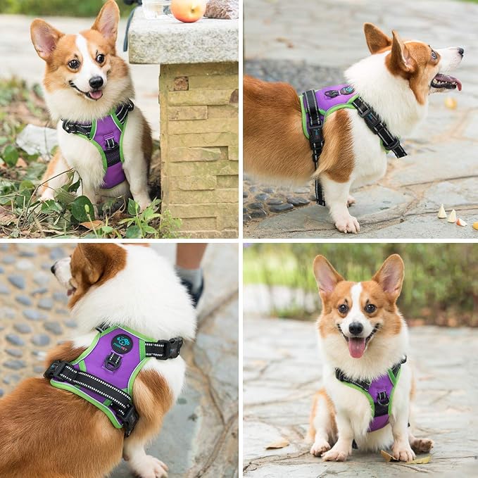 2019 Upgraded No Pull Dog Harness, Reflective Adjustable Vest, with a Training Handle + 2 Metal Leash Hooks+ 3 Snap Buckles +4 Slide Buckles(L, Purple) | with a Training Handle + 2 Metal Leash Hooks+ 3 Snap Buckles +4 Slide Buckles(L, Purple) - Image 7