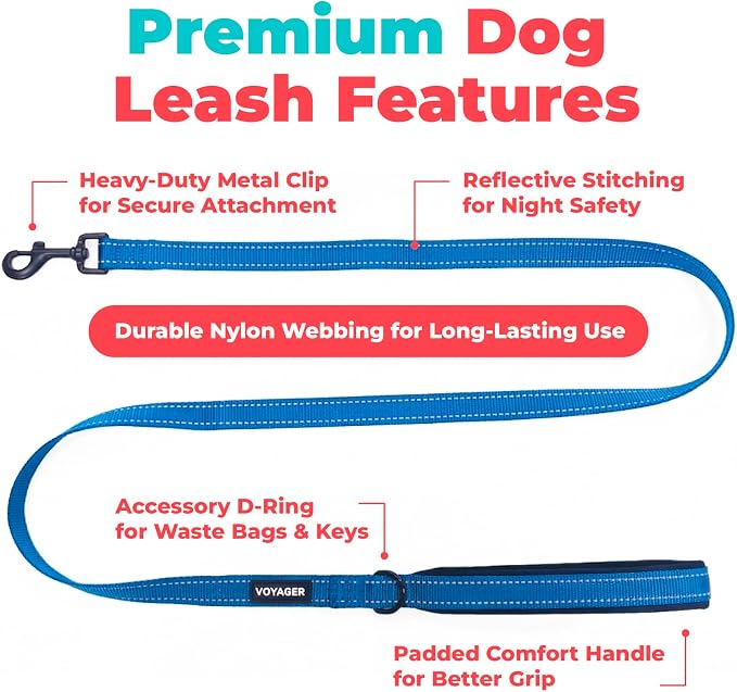 Best Pet Supplies Voyager Nylon Dog Leash - 6ft Royal Blue, Large | 6ft in Length, 1" in Width, Reflective, Soft Neoprene Handle, Heavy Duty Metal Clips for Running, Walking & Training - Image 2