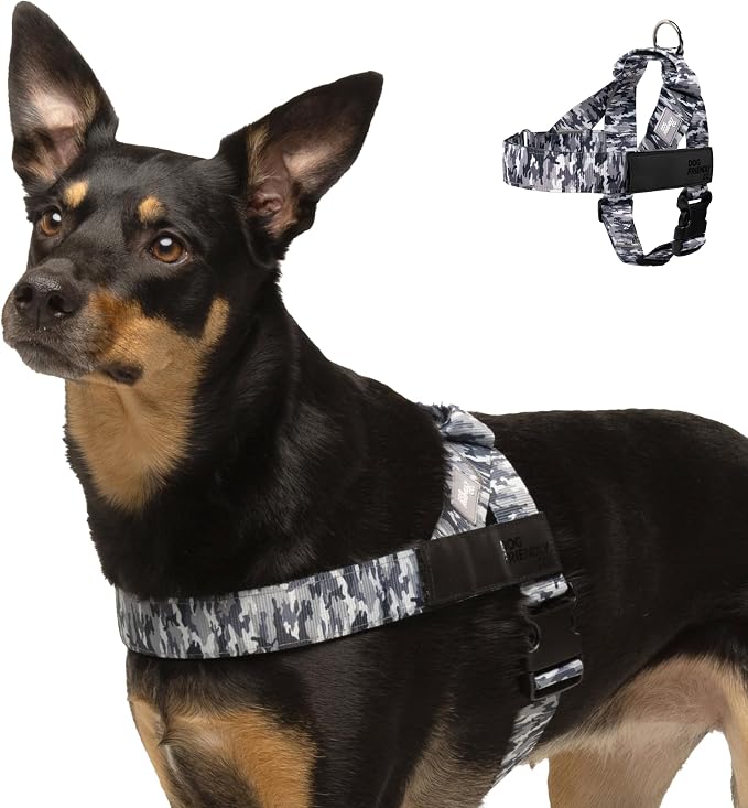 Dog Friendly Co. Dog Harness for Small Dogs (Grey Camo, Small) | One Click Buckle, Chafe Resistant Webbing, Adjustable Neck & Chest, and Heavy Duty D-Ring, Sturdy Comfortable and Easy to Use by DogFriendly