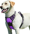 Eagloo Dog Harness for Large Dogs, No Pull Pet Vest with 2 Leash Clips | No Choke with Handle, Adjustable Comfort Fit, Reflective Strips, Easy Walking Control, Purple, Large by GoExplorewithEagloo