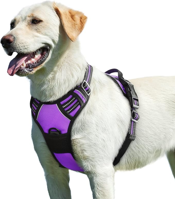 Eagloo Dog Harness for Large Dogs, No Pull Pet Vest with 2 Leash Clips | No Choke with Handle, Adjustable Comfort Fit, Reflective Strips, Easy Walking Control, Purple, Large by GoExplorewithEagloo