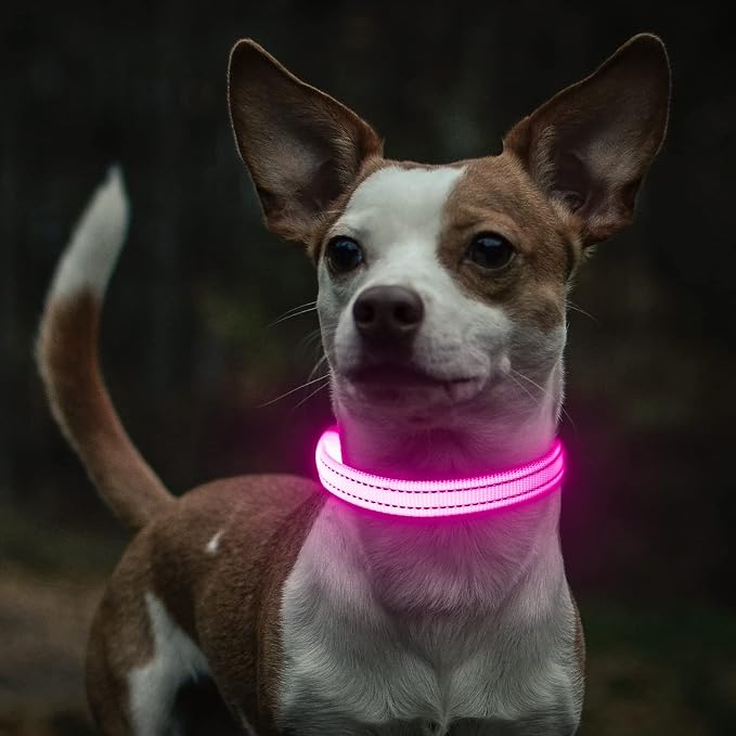 Light Up Dog Collar for Small Dogs - LED Dog Collar Rechargeable Adjustable Puppy Collars, Glow in The Dark Dog Lights for Night Walking & Camping (X-Small, Pink) - Image 7