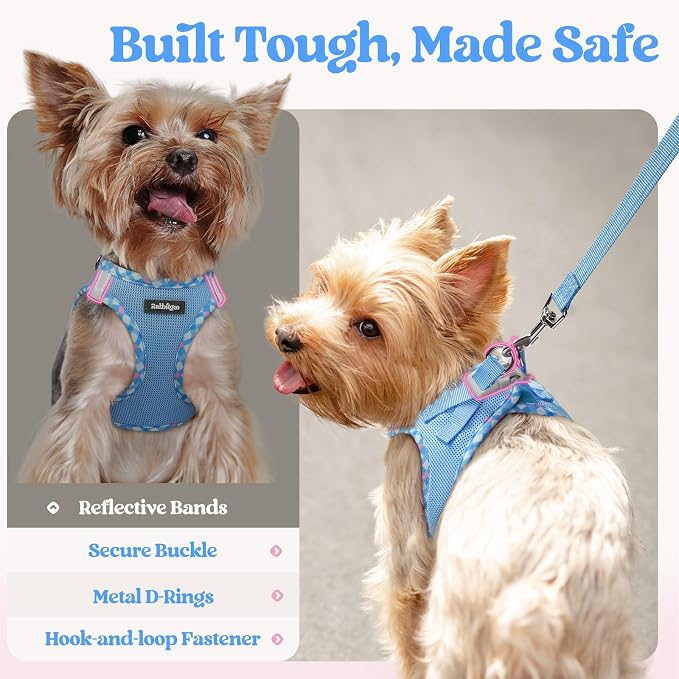 rabbitgoo Dog Harness Small Sized and Leash Set, Step-in Puppy Pet Vest | Light, Soft, Breathable Air Mesh, Easy on and Remove with Hook & Loop, Secure Reflective for Walking, Blue & Plaid Trim M - Image 7
