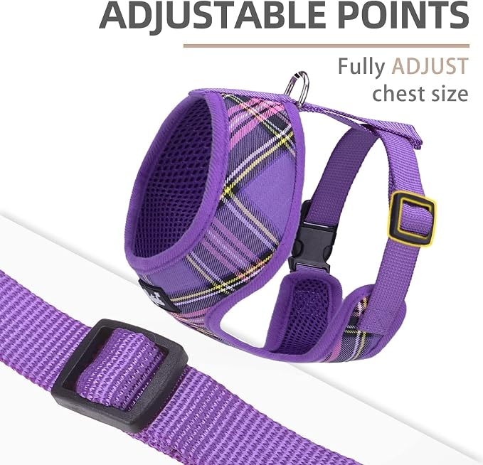 PUPTECK Small Dog Harness and Leash Set No Pull for XS XXS Sized Dogs Puppy | Escape Proof No Choke Pet Cat Adjustable Soft Padded Walking Vest - Image 3