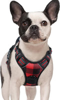 rabbitgoo Dog Harness, No Pull for Small Dogs with 2 Leash Clips, Pet Vest | No Choke with Handle, Adjustable Soft Padded, Reflective, Easy Control for Walking, Red Plaid, Small by rabbitgoo