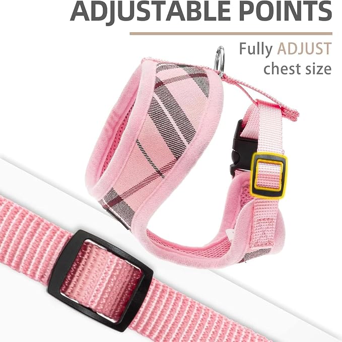 PUPTECK Small Dog Harness and Leash Set No Pull for XS XXS Sized Dogs Puppy | Escape Proof No Choke Pet Cat Adjustable Soft Padded Walking Vest - Image 3
