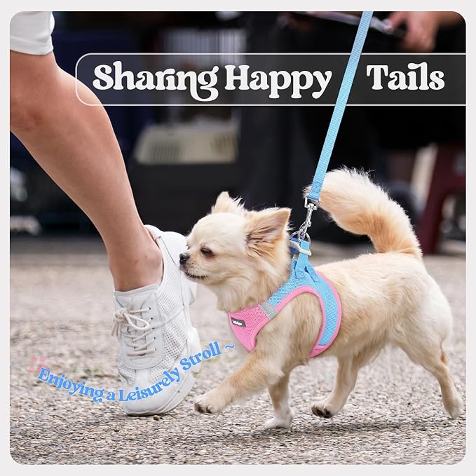 rabbitgoo Dog Harness Small Sized and Leash Set, Step-in Puppy Pet Vest | Light, Soft, Breathable Air Mesh, Easy on and Remove with Hook & Loop, Secure Reflective for Walking, Blue & Light Pink XXXS - Image 9