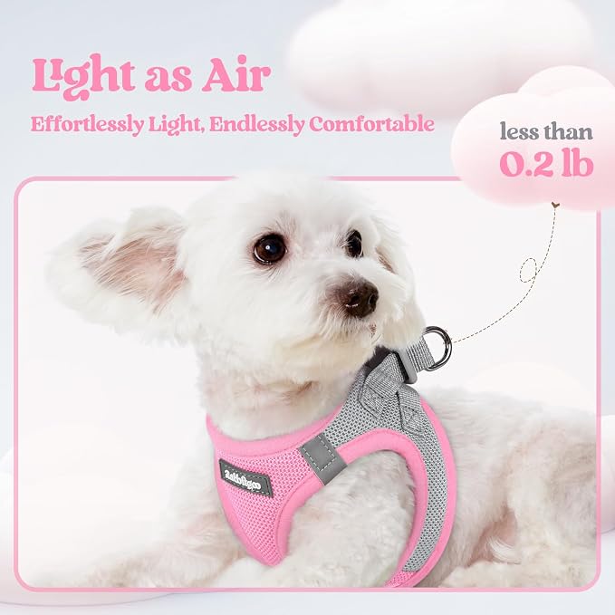 rabbitgoo Dog Harness Small Sized and Leash Set, Step-in Puppy Pet Vest | Light, Soft, Breathable Air Mesh, Easy on and Remove with Hook & Loop, Secure Reflective for Walking, Light Pink & Gray M - Image 4