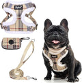 PUPTECK Dog Harness and Leash Set Medium Sized, Step in No Pull Adjustable Puppy Cat Harness Reflective Pet Vest by PUPTECK