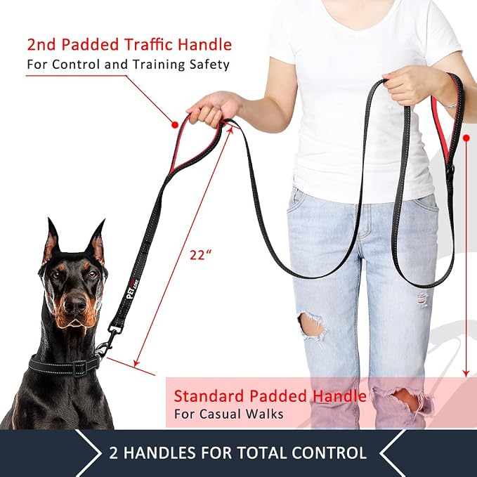 Plutus Pet Double Handle Dog Leash, 6 FT Long, for Medium Large Dogs | Reflective Nylon, Soft Padded 2 Handles, Heavy Duty for Training, Dual Handle Lead, 6 FT x 1”, Black - Image 2