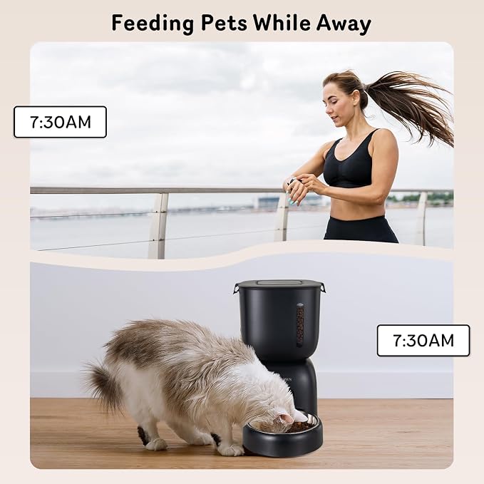 Automatic Cat Feeder and Water Dispenser FW1, Wire or Battery Cat Food Dispenser Timer Pet Feeder - Locking Lid, Desiccant Bag, Programmable Portion Control, 4 Daily Meals, 10s Voice Recorder - Image 7
