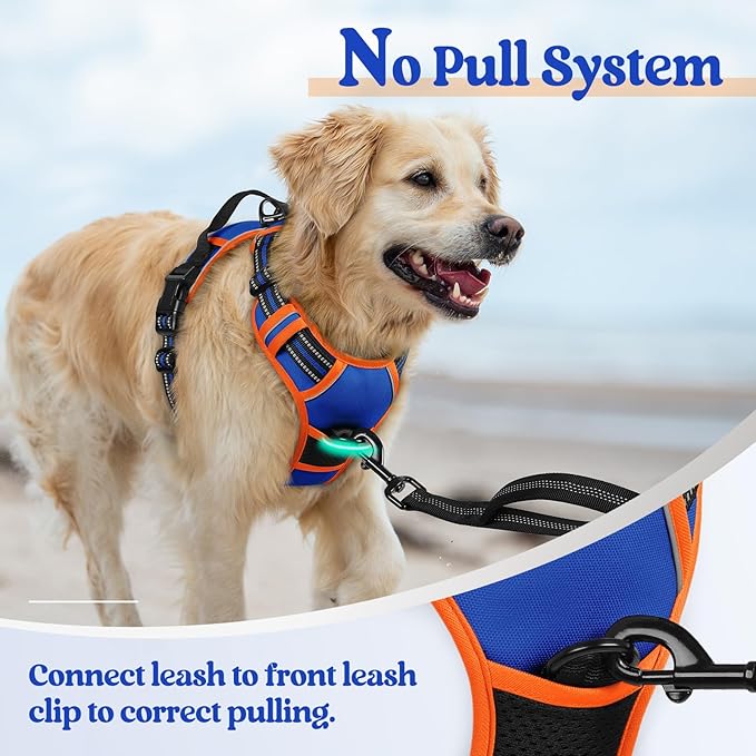 rabbitgoo Dog Harness, No Pull for Small Dogs with 2 Leash Clips, Pet Vest | No Choke with Handle, Adjustable Soft Padded, Reflective, Easy Control for Walking, Blue & Orange, Small - Image 5
