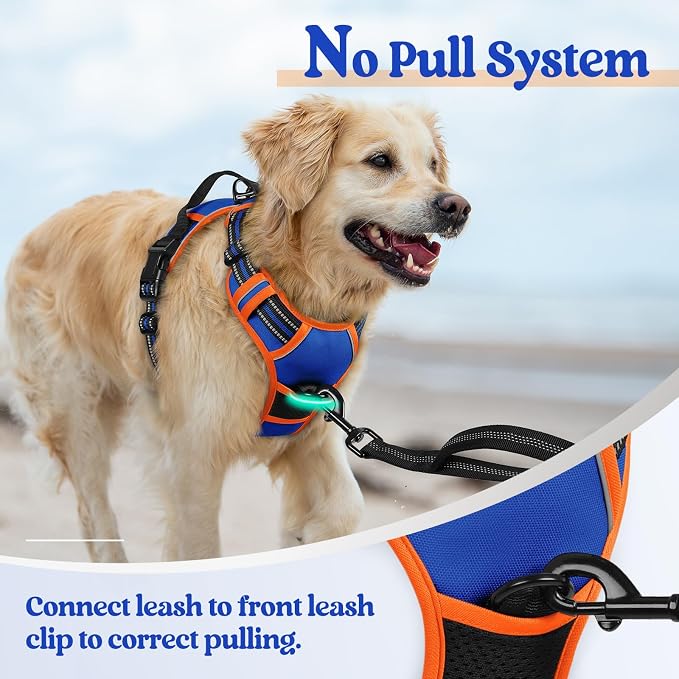 rabbitgoo Dog Harness, No Pull for Large Dogs with 2 Leash Clips, Pet Vest | No Choke with Handle, Adjustable Soft Padded, Reflective, Easy Control for Walking, Blue & Orange, Large - Image 5