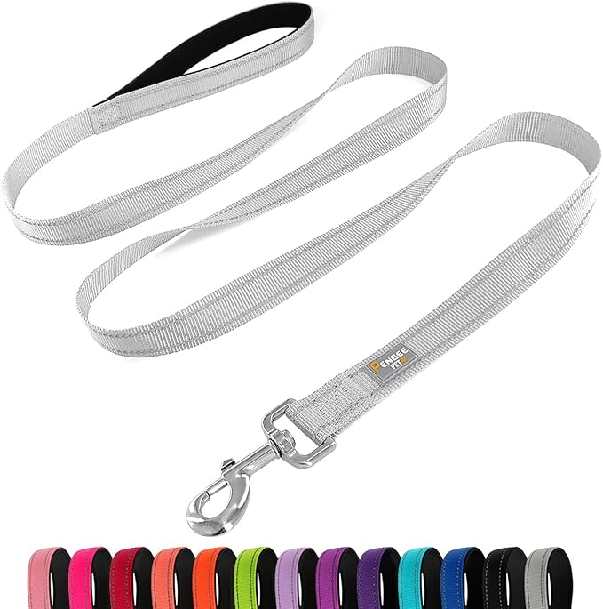 6 FT Basic Dog Leash for Large Dogs,Silver | Padded Handle,Metal D-Ring,Heavy Duty Nylon Webbing, for Walking & Training by Penseepet