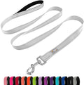 6 FT Basic Dog Leash for Medium Dogs,Silver | Padded Handle,Metal D-Ring,Heavy Duty Nylon Webbing, for Walking & Training by Penseepet