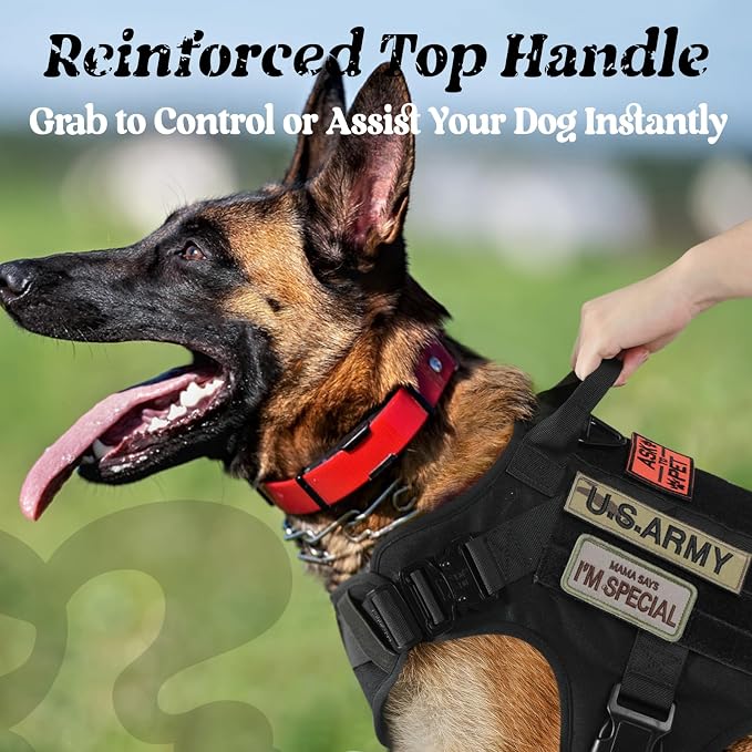 rabbitgoo Tactical Dog Harness for Large, Heavy Duty Military No Pull Vest | Sturdy Metal Buckles, 5 Adjustments, Molle System, Powerful Pullers for Training, Hunting, Outdoor, Black, Large - Image 4