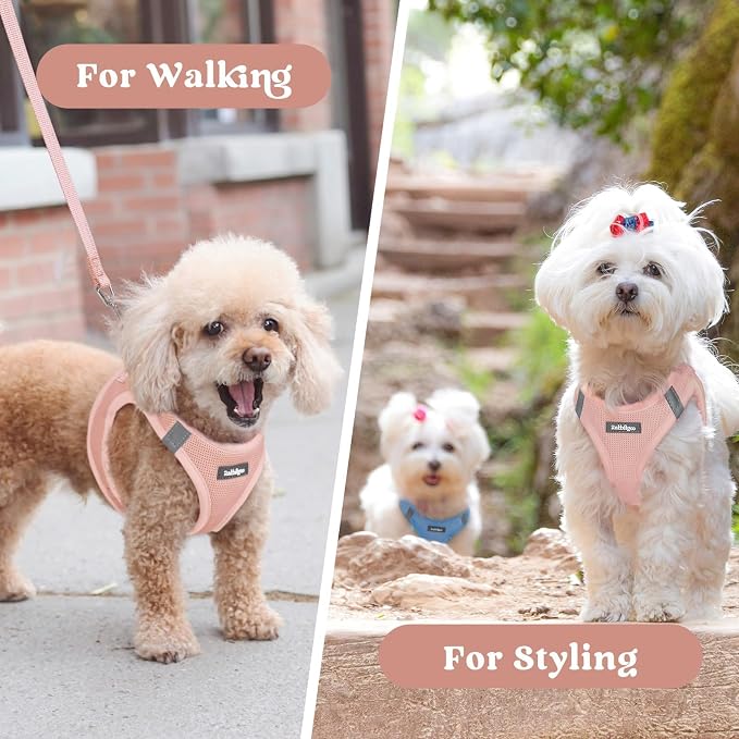 rabbitgoo Step-in Small Dog Harness, Puppy Vest for Small Medium Sized Pet | Easy Put on and off, Lightweight, Soft, Breathable Quick-Dry Air Mesh for Comfortable Secure Walking, Pink XL - Image 9