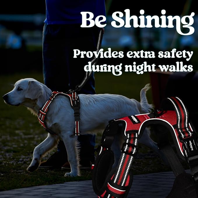 rabbitgoo Dog Harness Medium Sized, Updated Easy On & Off with 3 Buckles | No Pull No Choke, Walking with 2 Clips and Handle, Adjustable Soft Reflective, Red, Medium - Image 9