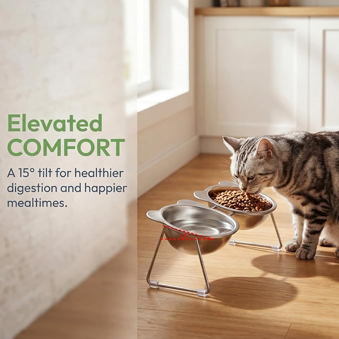 Stainless Elevated cat Bowls 5.9 Inch with Metal Stand Slip Resistant Base 15 Degrees Tilted Raised Pet Dishes Double Bowl Design Food and Water Dish for Cats Kitten Small Dog (Integrated Bowls) - Image 2