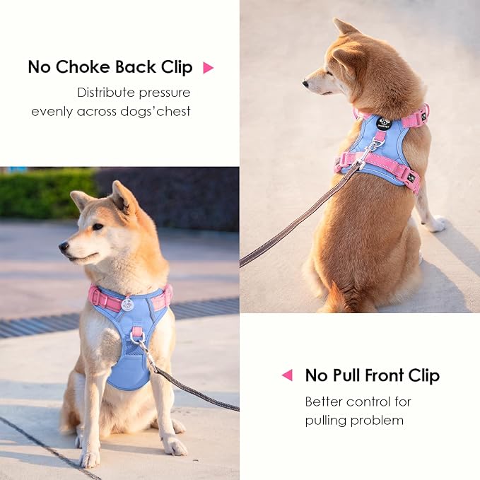 No Pull Dog Harness, Unique Colors Reflective Adjustable Dog Vest | with Soft Training Handle Metal Clips for Small Medium Large Dogs (Baby Blue Base & Pink Straps,L) - Image 3