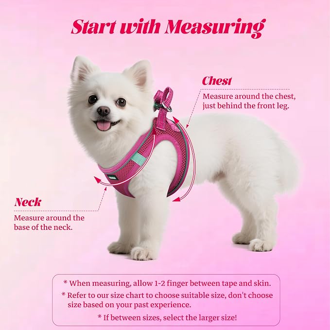 No Pull Dog Puppy Harness and Leash Set Reflective Mesh Vest X-Small - Image 2