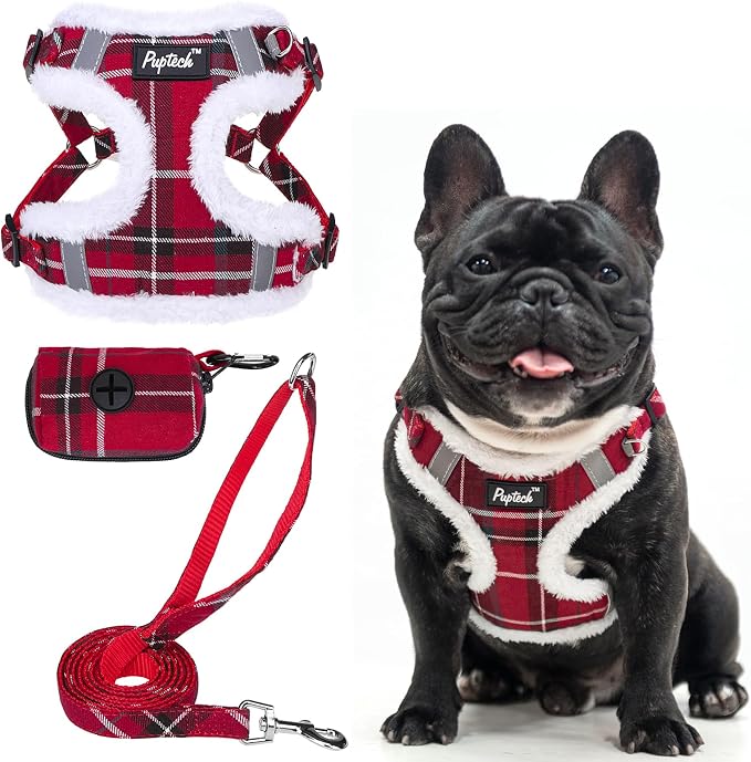 PUPTECK Dog Harness and Leash Set Medium Sized, Step in No Pull Adjustable Puppy Cat Harness Reflective Pet Vest by PUPTECK