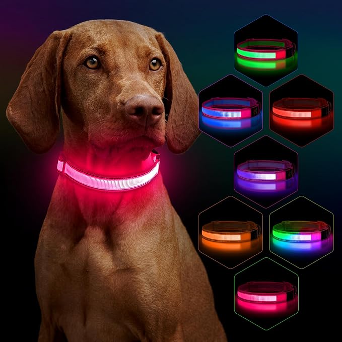 LED Light Up Dog Collar for Night Safety Walks, Pink, L | USB rechargeable, waterproof & pet-safe, 3 lighting modes, long-lasting glow, adjustable S/M/L, soft comfy daily walk fit by Dlitk